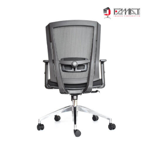 SILLON-DELPHI-II-SYNCRO-2