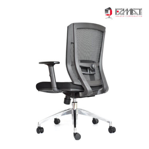 SILLON-DELPHI-II-SYNCRO-3