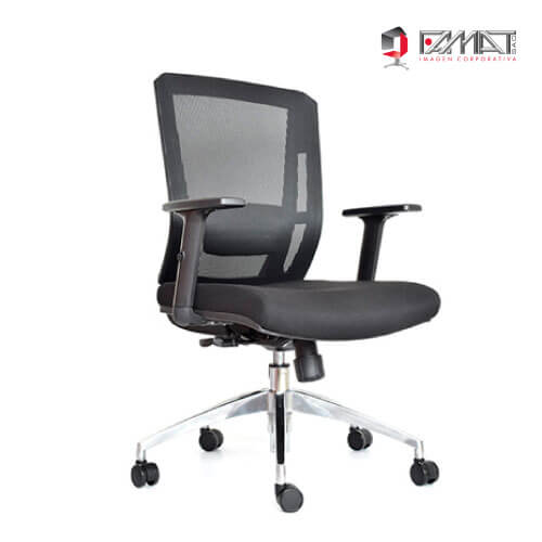 SILLON-DELPHI-II-SYNCRO